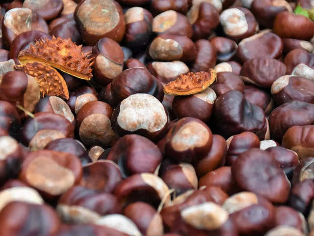
Chestnuts: Nature's nutritional powerhouse
