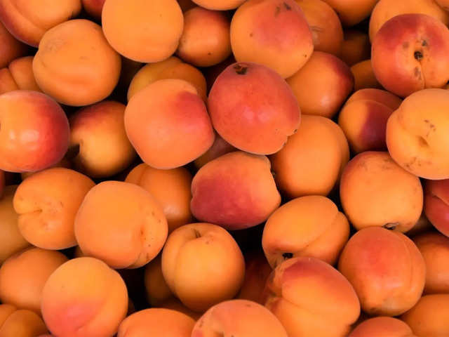 
Apricots: A nutrient-packed fruit for health and culinary delights
