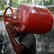 
Commercial LPG prices hiked by ₹209 across India
