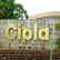 
Cipla shares fall over 8 pc; market cap declines by Rs 8,319 crore
