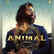 
Ranbir Kapoor, Bobby Deol's 'Animal' enters ₹100 crore club in 2 days
