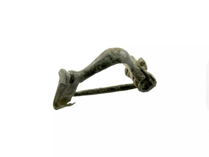 Gladiators wore ancient “cock rings”