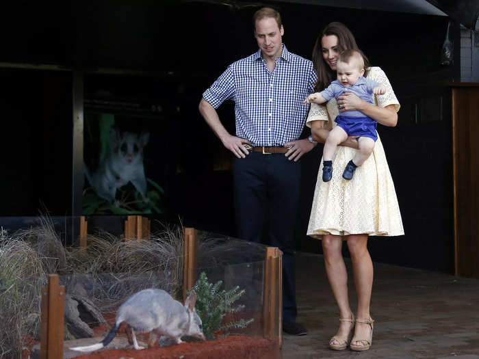 A tiny Prince George showed no signs of fear while staring down an Australian bilby with his parents in 2014.