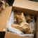 A couple accidentally shipped their cat in an Amazon return package. It arrived safely 6 days later, hundreds of miles away.