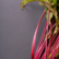 
From heart health to detoxification: 10 reasons to eat beetroot
