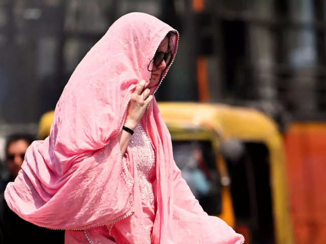 
Delhi heatwaves are likely to abate after May 30, but the power sector is already suffering
