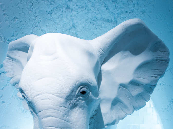 A 10-foot ice sculpture of an African elephant dominates a suite called "The Elephant in the Room," by Anna Sofia Maag.