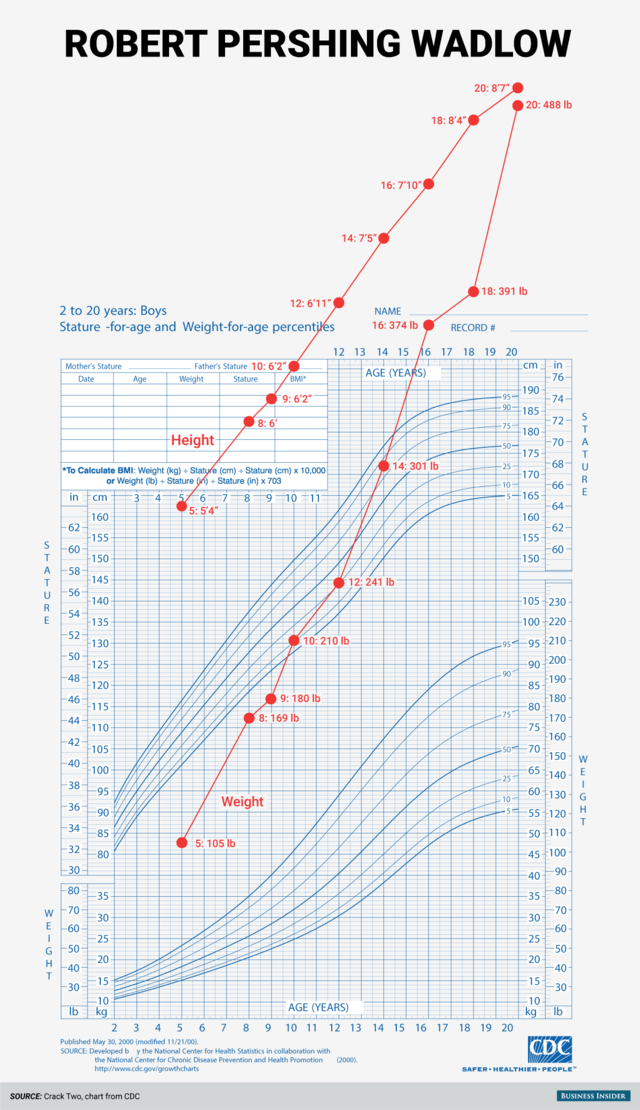 7 Year Old Growth Chart