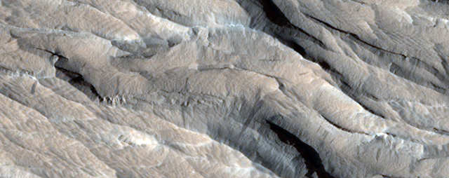 Yardangs, which are sharp ridges scraped away by Mars' harsh winds.