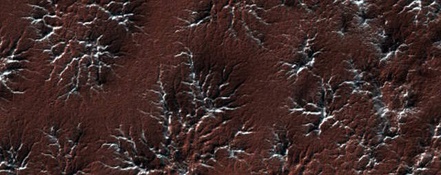 Some aptly-named "spider terrain."