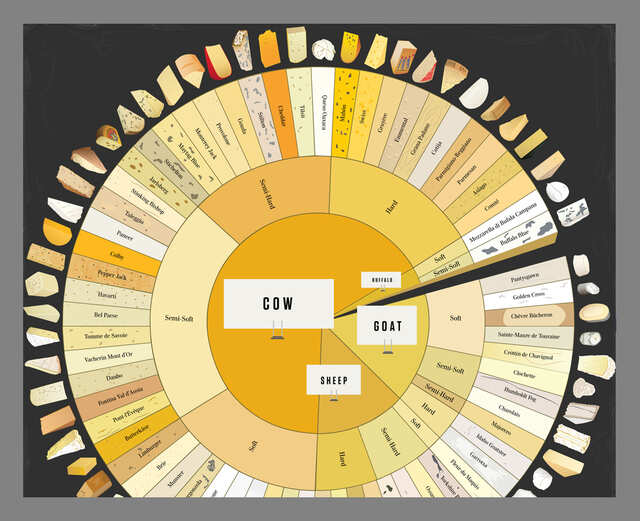 Charted Cheese Wheel