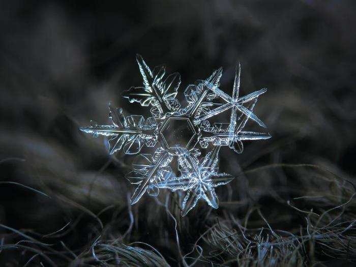 Kljatov was inspired to try his own snowflake photography after seeing a website called "Snow Crystals" created by a CalTech physics professor named Kenneth Libbrecht.