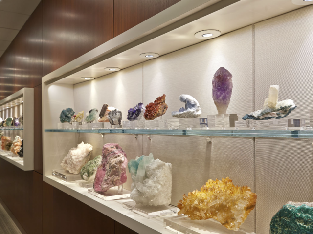They can also take a gander at the colorful mineral collection owned by SAS CEO's Jim Goodnight. The collection features minerals from Afghanistan to Zaire, a dinosaur egg, and arrowheads dating back thousands of years.