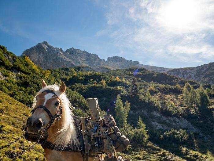 The NATO soldiers hiked 6,500 feet up to the high-angle range several times during the five-day period, even using packhorses to help get their gear up.