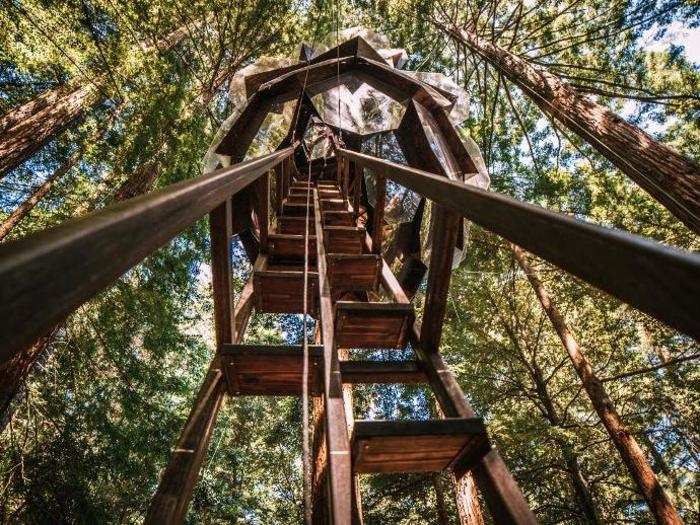 At its highest, the treehouse hovers almost 60 feet above the ground.