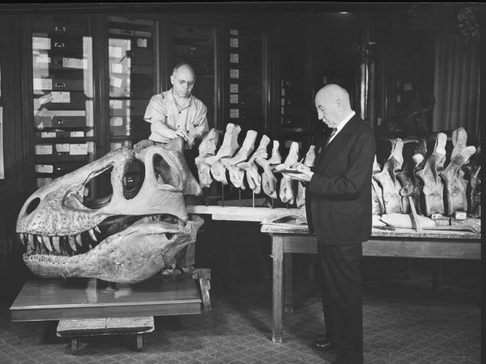 The first T. rex skeleton ever found was discovered in 1902 by paleontologist Barnum Brown of the AMNH.