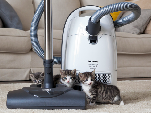 The Best Vacuums For Pet Hair You Can, Best Vacuum For Vinyl Floors And Pets