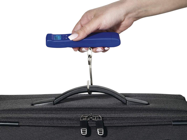  Luggage Scale, Portable Digital Handging Baggage Scale for  Travel, Suitcase Weight Scale with Rubber Paint, Temperature Sensor, 110  Pounds, Battery Included : Clothing, Shoes & Jewelry