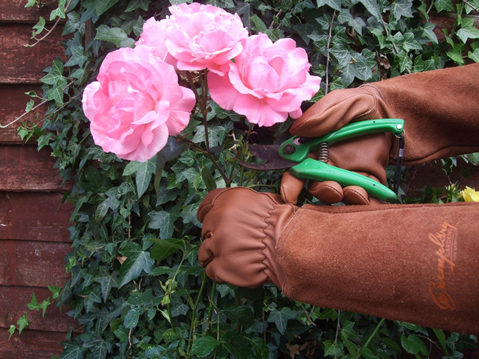 The best gardening tools for roses
