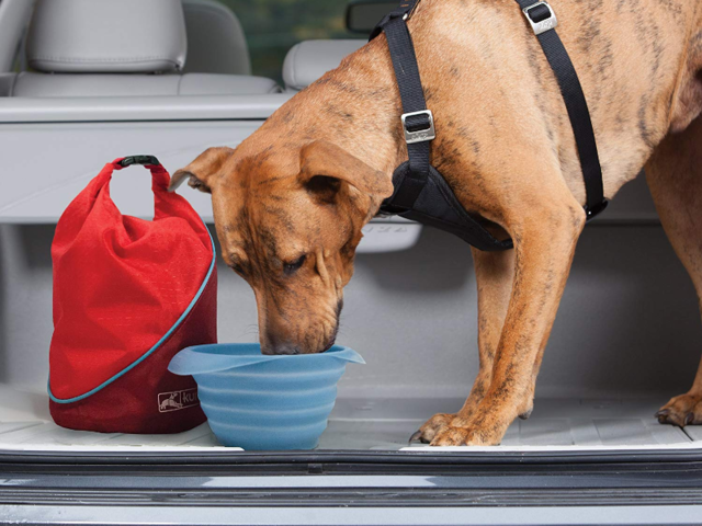 https://www.businessinsider.in/thumb/msid-69222418,width-640,resizemode-4,imgsize-1028040/A-dry-sack-to-carry-dog-food-in.jpg