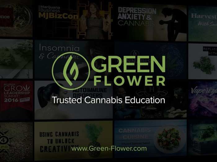 We got an exclusive look at the pitch deck that cannabis education platform Green Flower Media used to raise $20 million from top investors