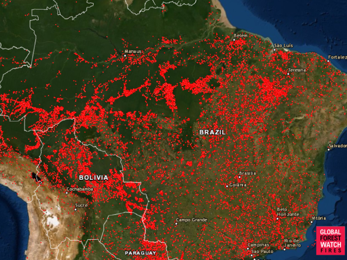 The map below shows every fire that's started across Brazil since August 13, 2019.