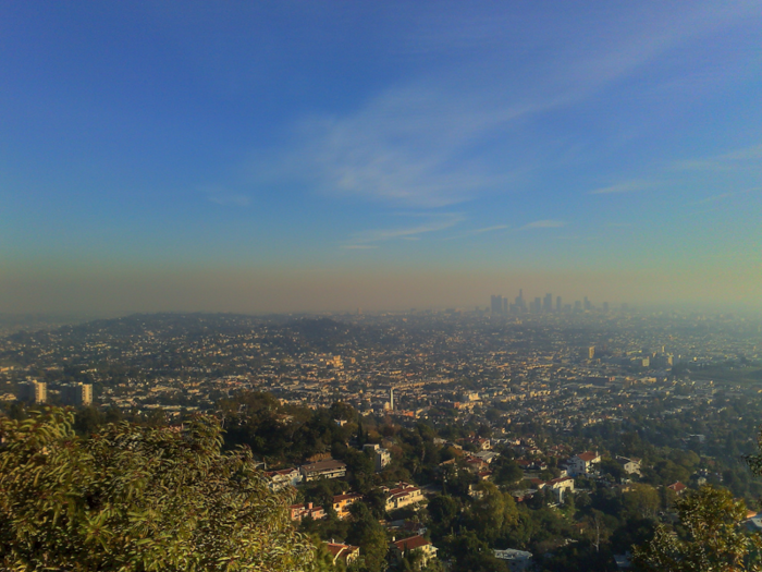 The ALA report evaluates three types of air pollution: short-term particulate matter, year-long particulate matter, and ozone pollution. California ranked the worst across all of them.