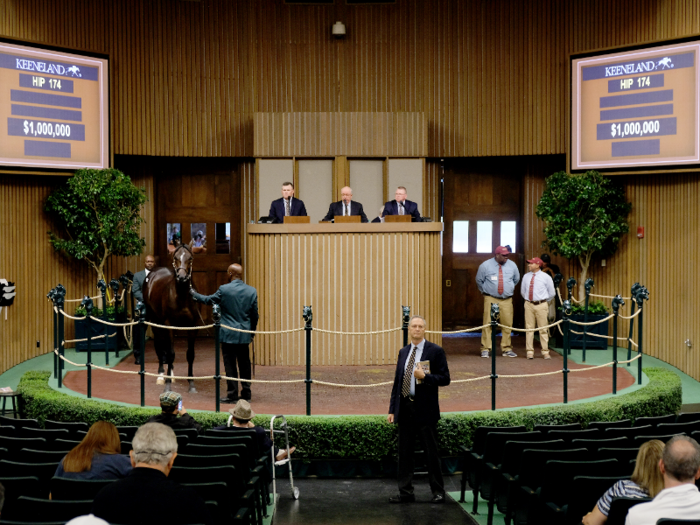 Keeneland's annual September yearling sale in Lexington, Kentucky, is the biggest horse sale in the world, with more than $377 million worth of horses sold in 2018.