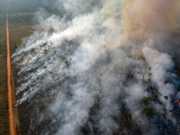 In August, Brazil's rainforest was burning the most since 2010. At one point, 31,000 fires were burning ...