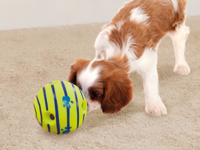 Dog Ball Treat Dispensing Dog Toy Rubber Dog Puzzle Toy~Tough Dog Treat Ball~nib