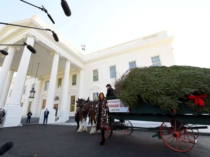 On November 25, the first lady received the White House Christmas tree from a horse-drawn delivery.