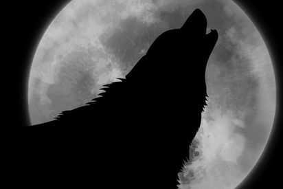Wolf Moon Lunar Eclipse This Friday Will Have Werewolves Looking To Form Packs Or So The Myth Says Business Insider India