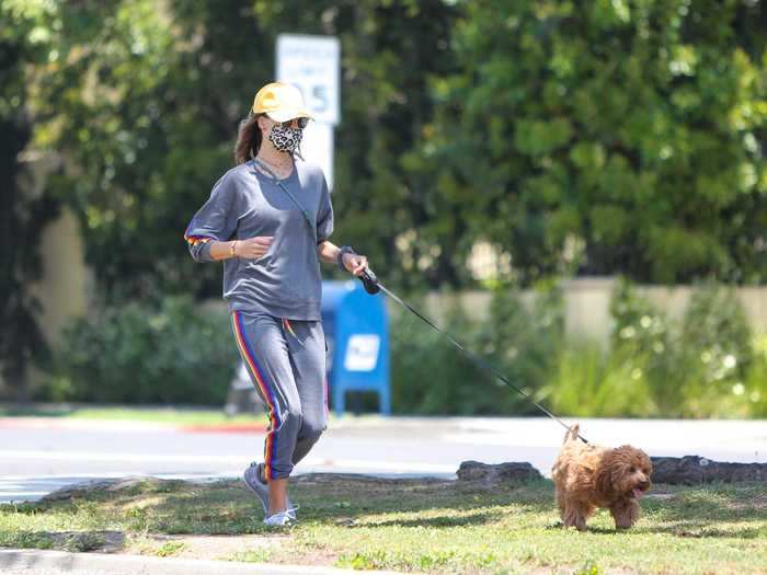Supermodel and former Victoria's Secret Angel Alessandra Ambrosio kept it casual and safe on a run with her dog.