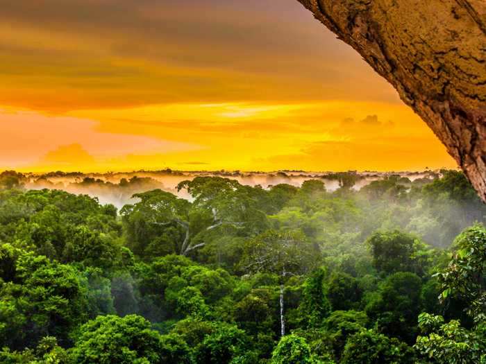 The beauty of the Amazon Rainforest covers multiple countries and is considered the world's largest tropical rainforest.