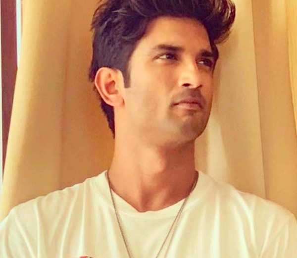 Sushant Singh Rajput Went From The Small Screen To Bollywood And