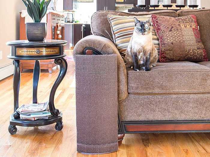 Cat From Scratching Your Furniture, How To Protect Furniture From Cats Scratching