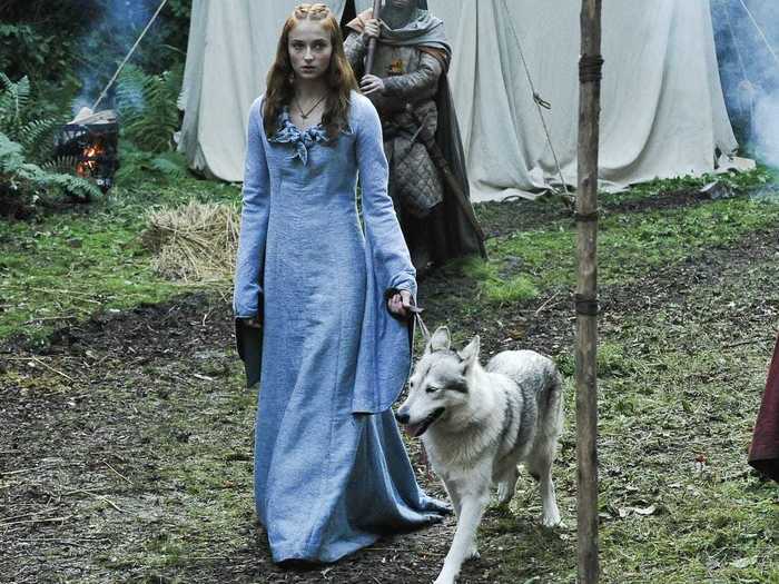 Sophie Turner adopted her direwolf from the set of "Game of Thrones."