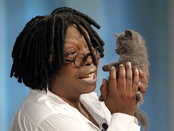 In 2011, Whoopi Goldberg adopted a rescue kitten that made a guest appearance on "The View."