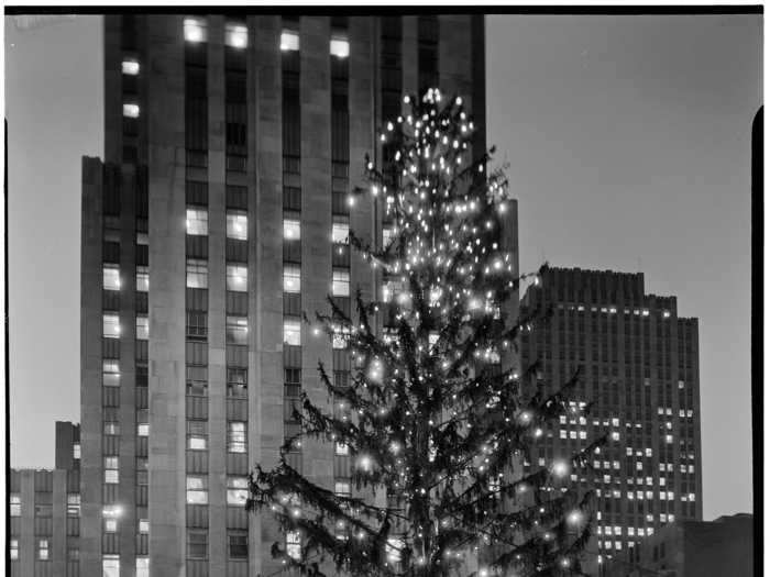 There has been a Christmas tree on the Rockefeller Center grounds since 1931.