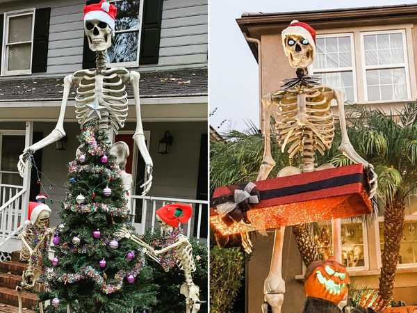 People didn&#039;t think about how they&#039;d store these giant skeletons after