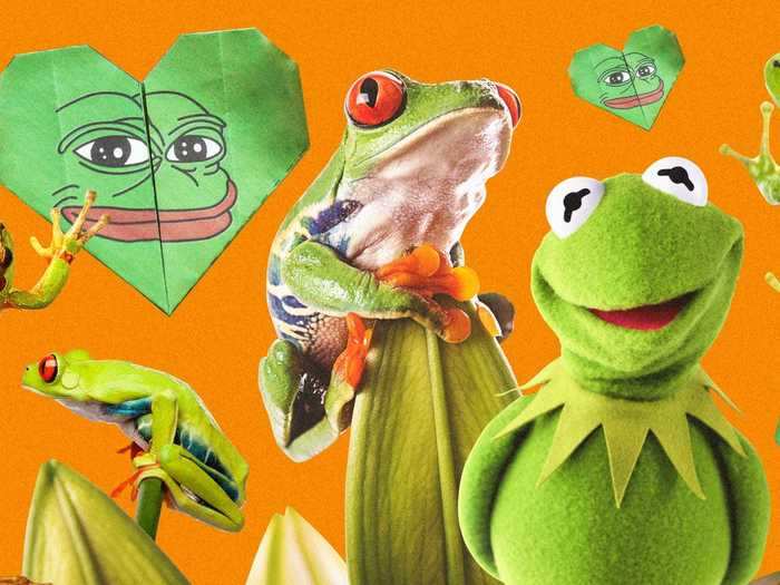 Frogs are in an internet golden age - how the animals once grouped with an online 'hate symbol' turned wholesome