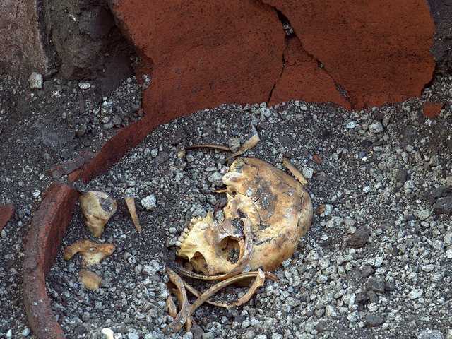 Archaeologists found human remains at the site, indicating that people were there when Mount Vesuvius erupted. Other remains may have been moved or placed by earlier excavators.