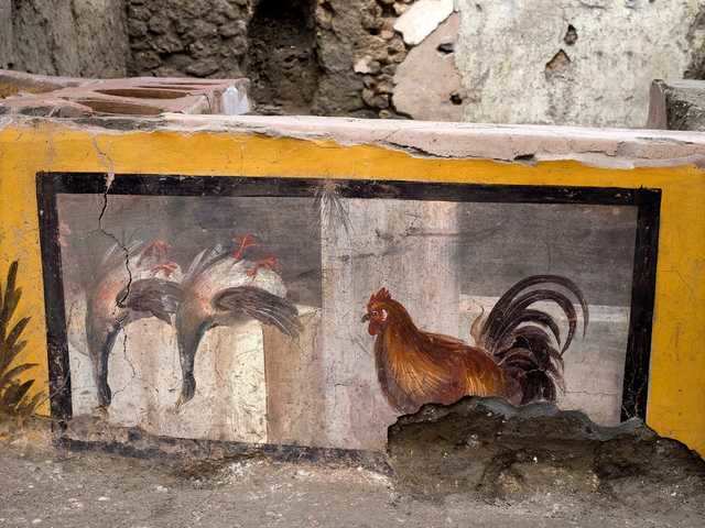 The counter has frescoes that remained intact, showing some animals that were served, including chicken and ducks, like a modern menu with pictures today.