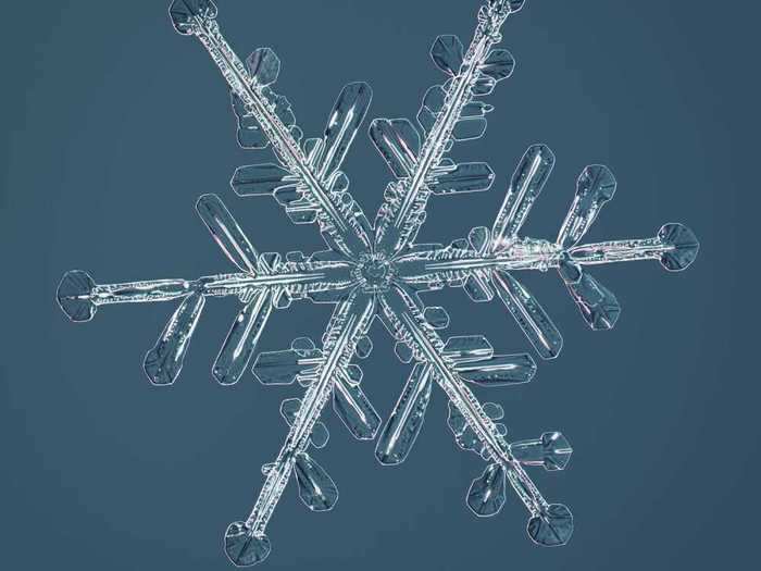 Nathan Myhrvold is the latest in a long line of scientists and photographers to capture high-resolution images of snowflakes.