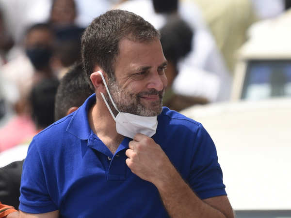 Congress Leader Rahul Gandhi Tests Positive For Covid 19 Business Insider India