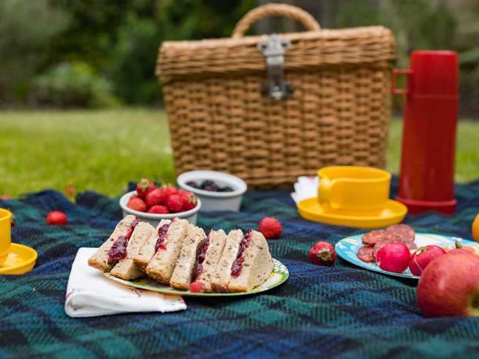 "A few sandwiches short of a picnic" means someone who lacks common sense.