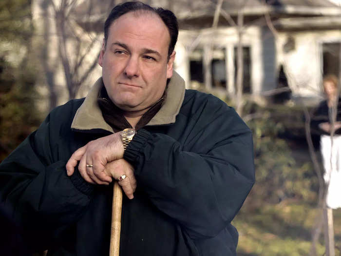 James Gandolfini played mobster Tony Soprano.
