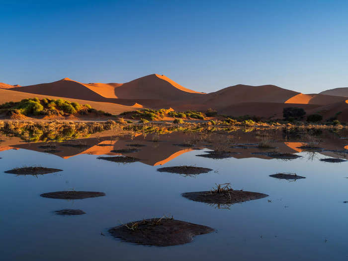 Intense sun and wind make Namibia a dry, dusty place. But once-in-a-decade rainfall transformed it into a green oasis, which I photographed on a 5,600-mile road trip.