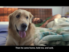 
Supertails' new campaign asks pet parents to keep their four-legged companions closer this year
