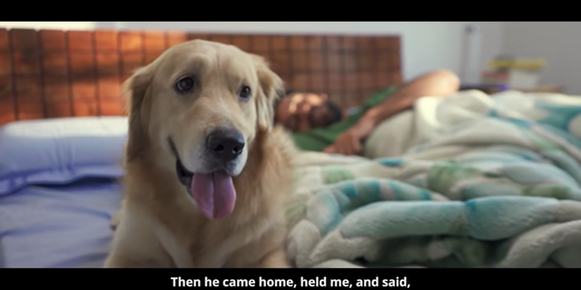 
Supertails' new campaign asks pet parents to keep their four-legged companions closer this year
